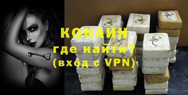 стаф Балахна