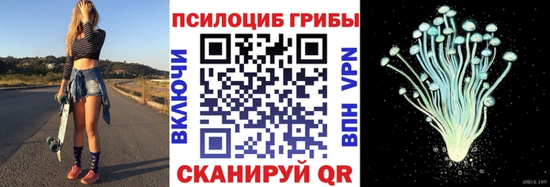 Галлюциногенные грибы мицелий Купить где Верхнеуральск